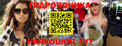 Альфа ПВП Чебоксары